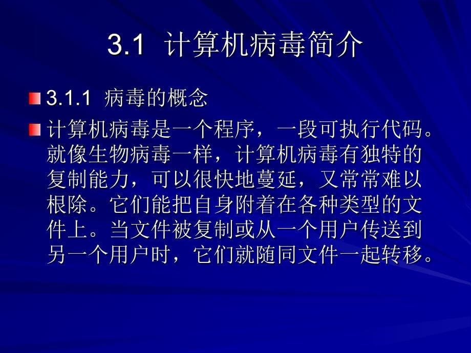 计算机网络安全_03病毒知识介绍._第5页