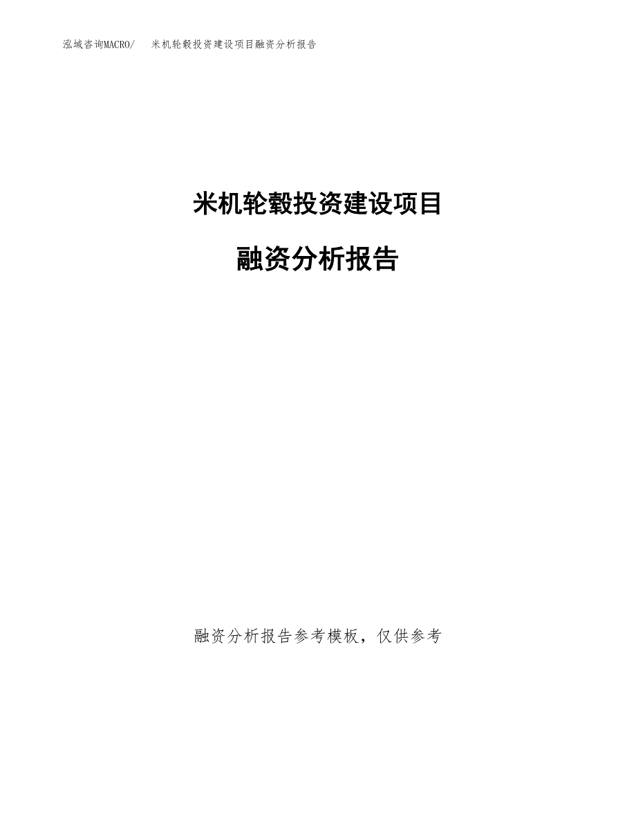米机轮毂投资建设项目融资分析报告.docx_第1页