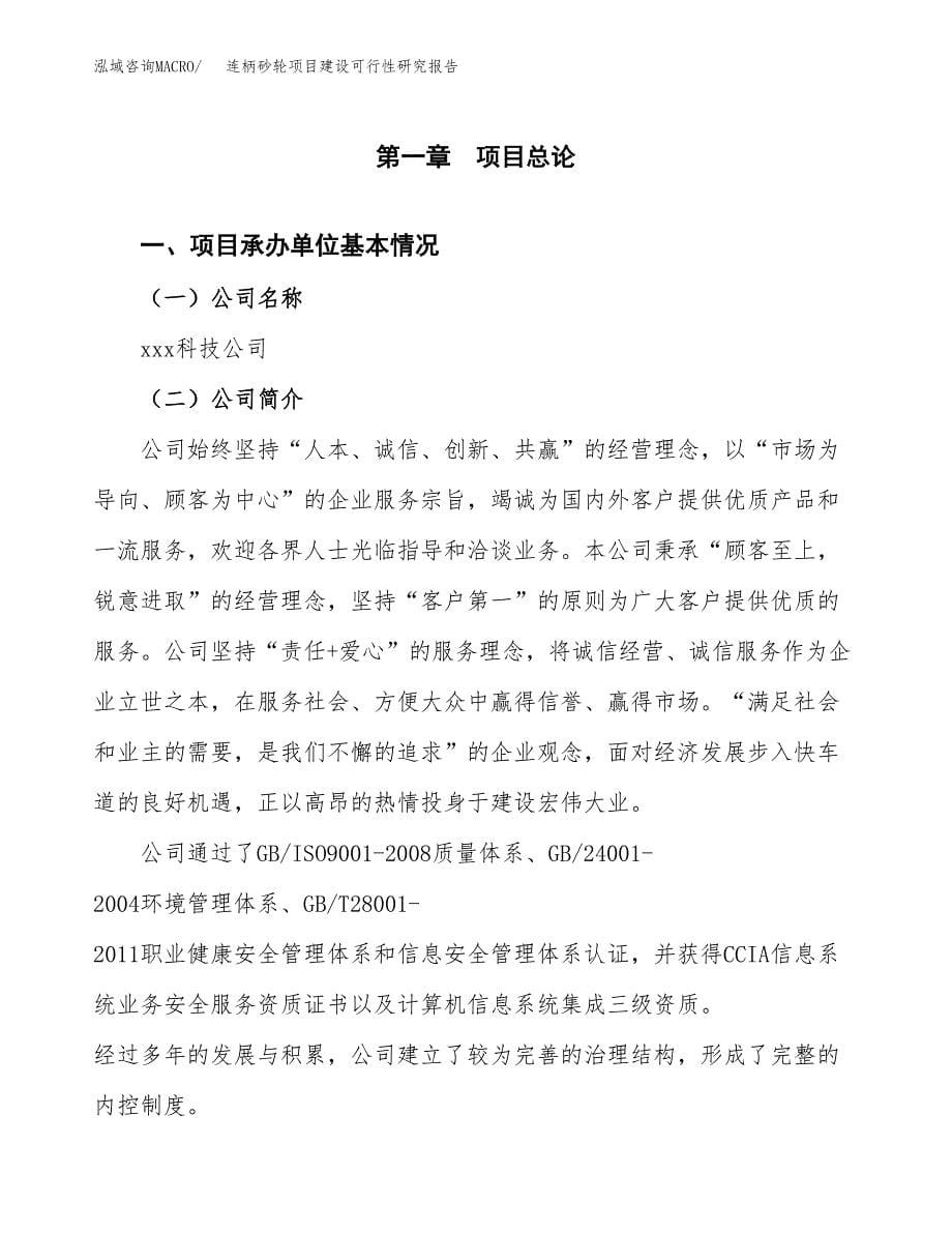 连柄砂轮项目建设可行性研究报告.docx_第5页