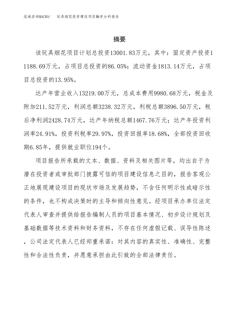 玩具烟花投资建设项目融资分析报告.docx_第2页