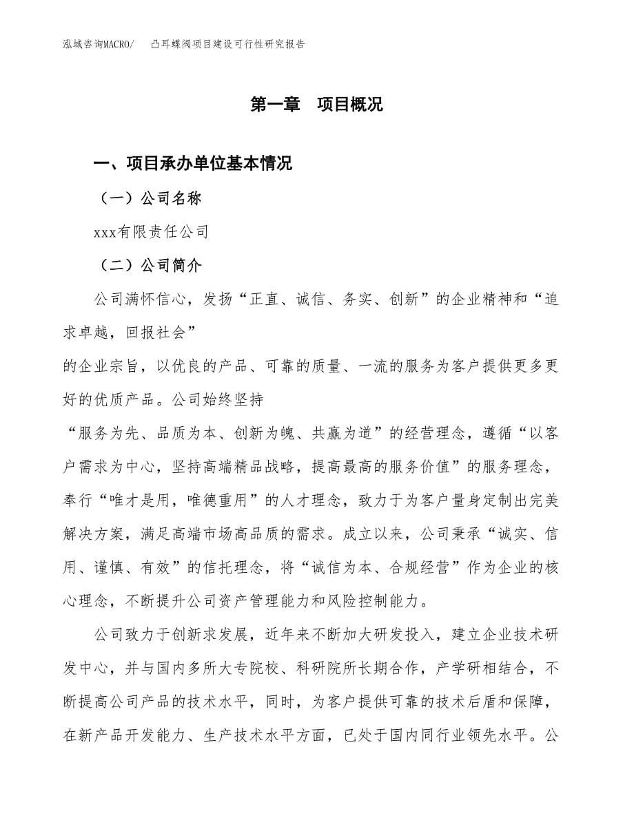 凸耳蝶阀项目建设可行性研究报告.docx_第5页