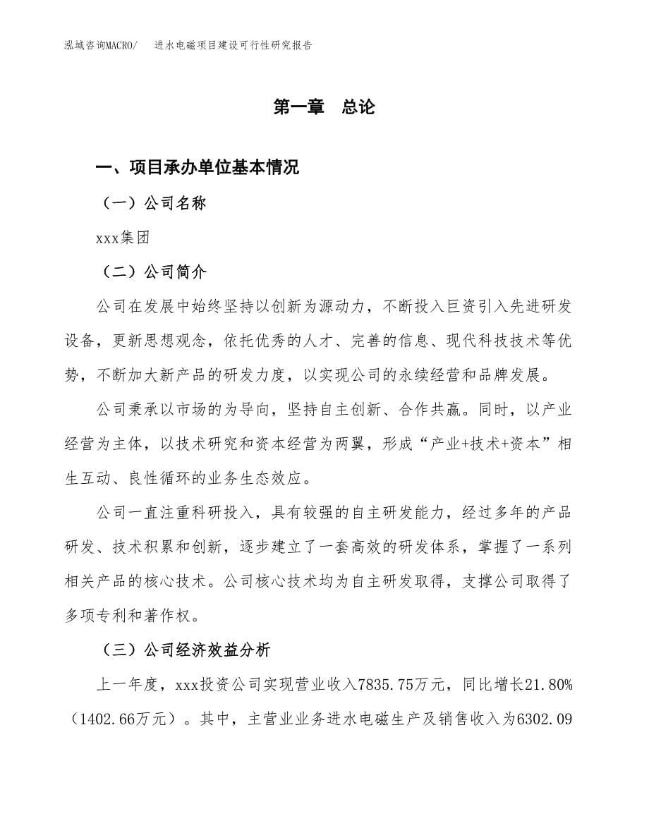 进水电磁项目建设可行性研究报告.docx_第5页