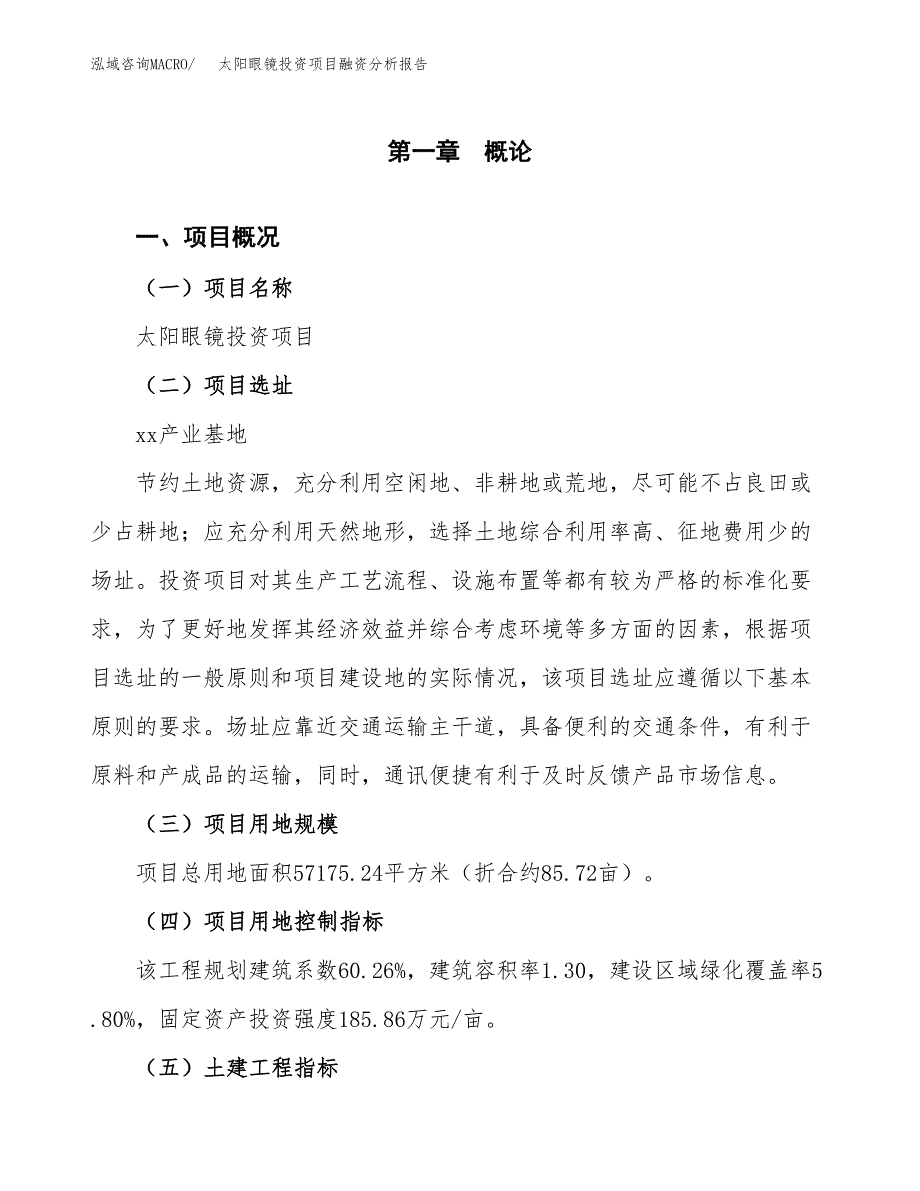 太阳眼镜投资项目融资分析报告.docx_第1页