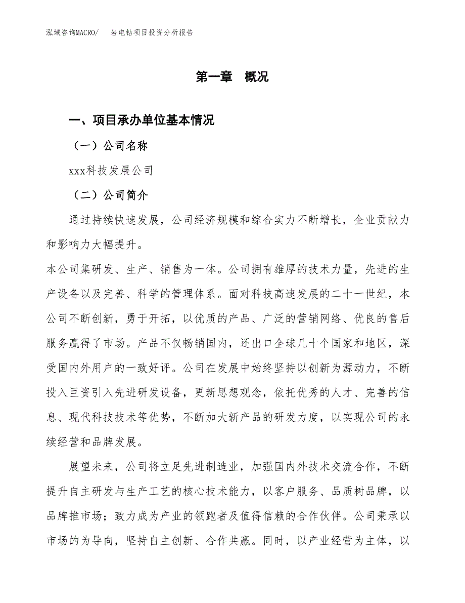 岩电钻项目投资分析报告（总投资18000万元）（80亩）_第2页