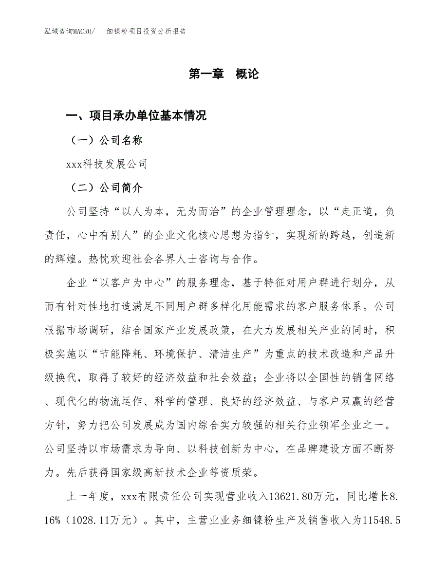 细镍粉项目投资分析报告（总投资15000万元）（75亩）_第2页