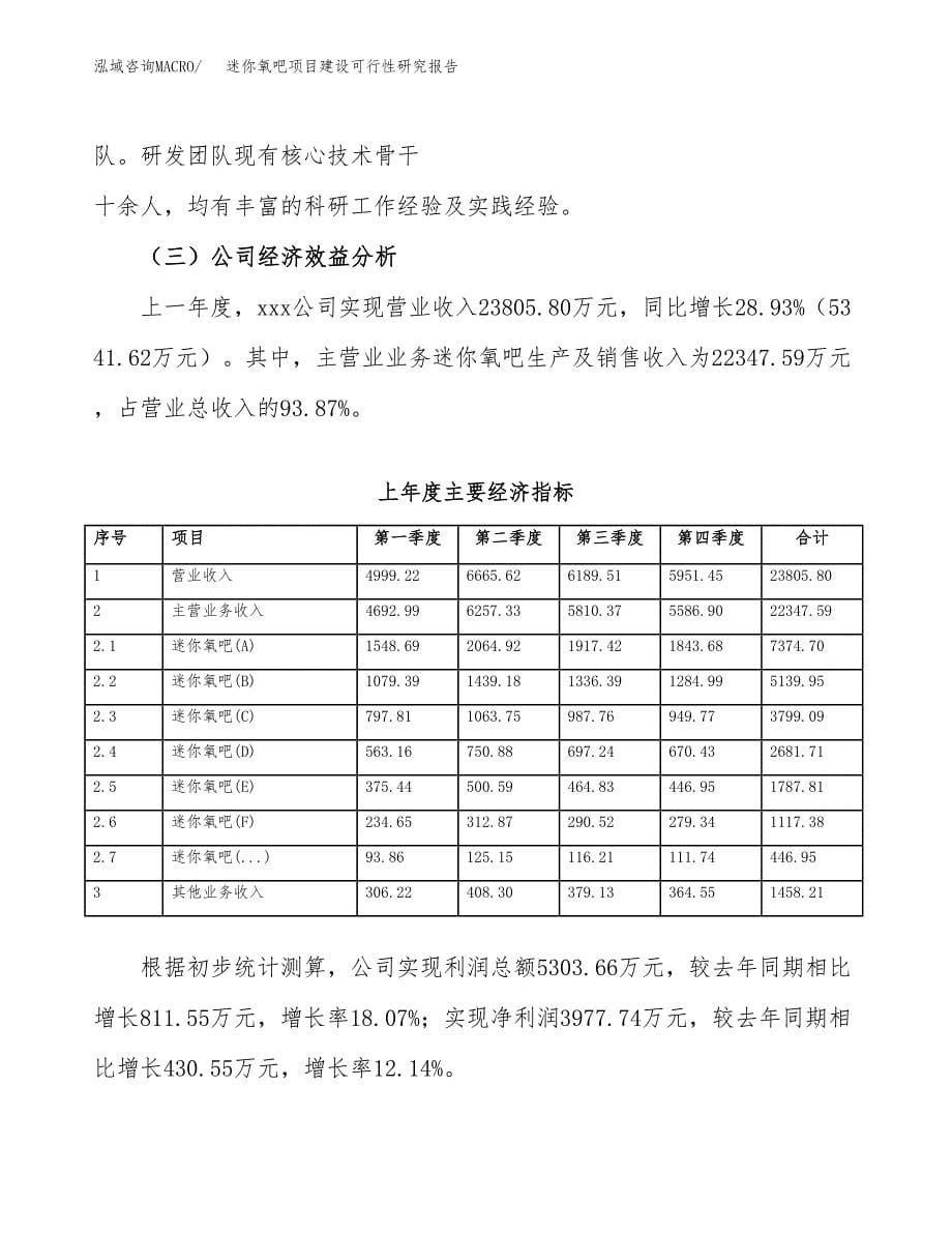 迷你氧吧项目建设可行性研究报告.docx_第5页