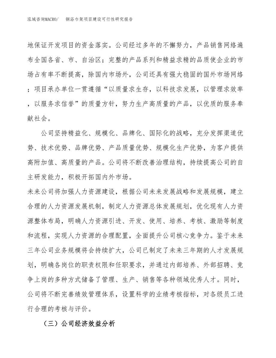 铜浴巾架项目建设可行性研究报告.docx_第5页