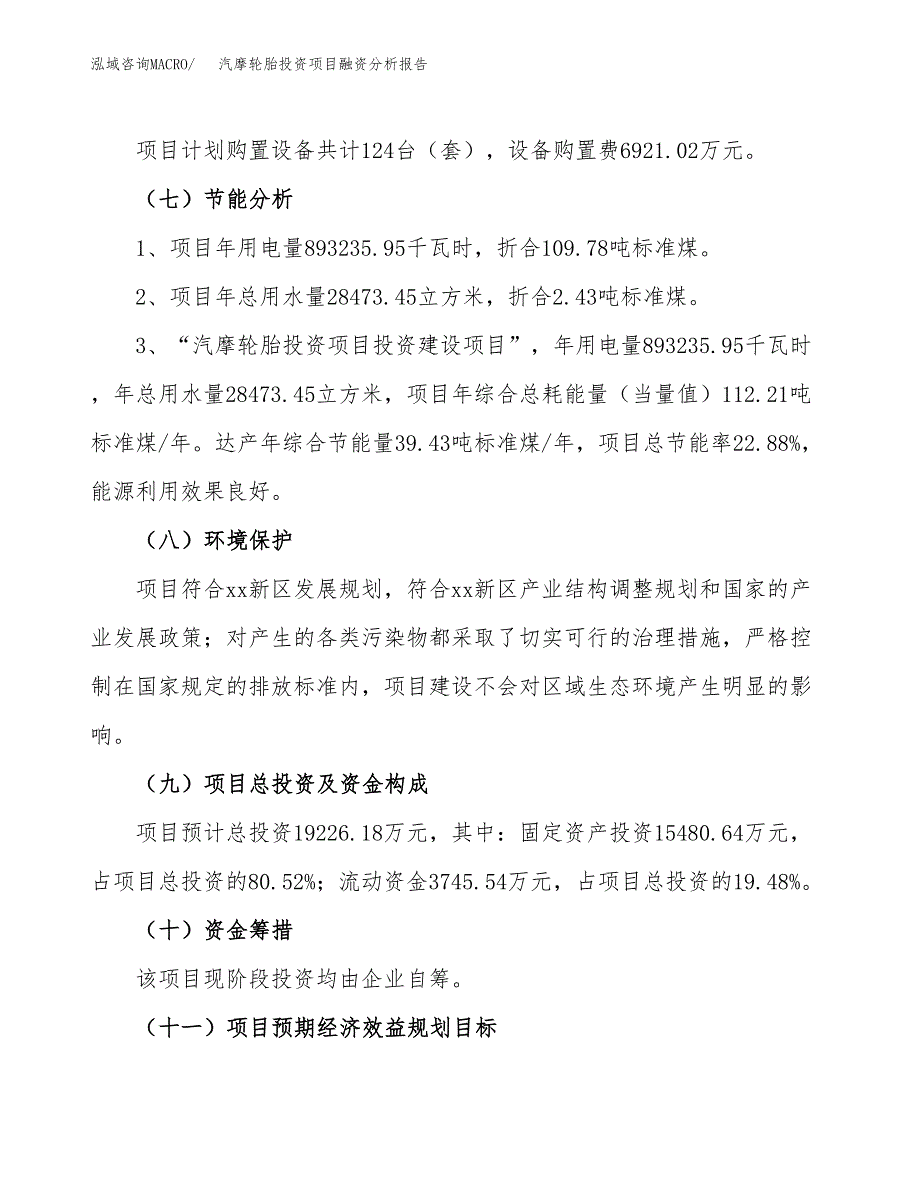 汽摩轮胎投资项目融资分析报告.docx_第2页