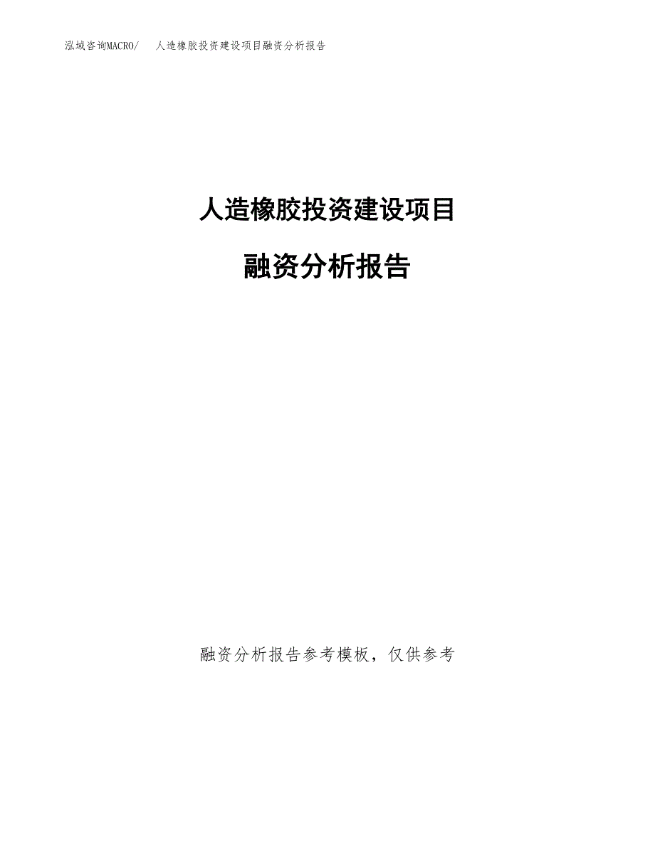 人造橡胶投资建设项目融资分析报告.docx_第1页