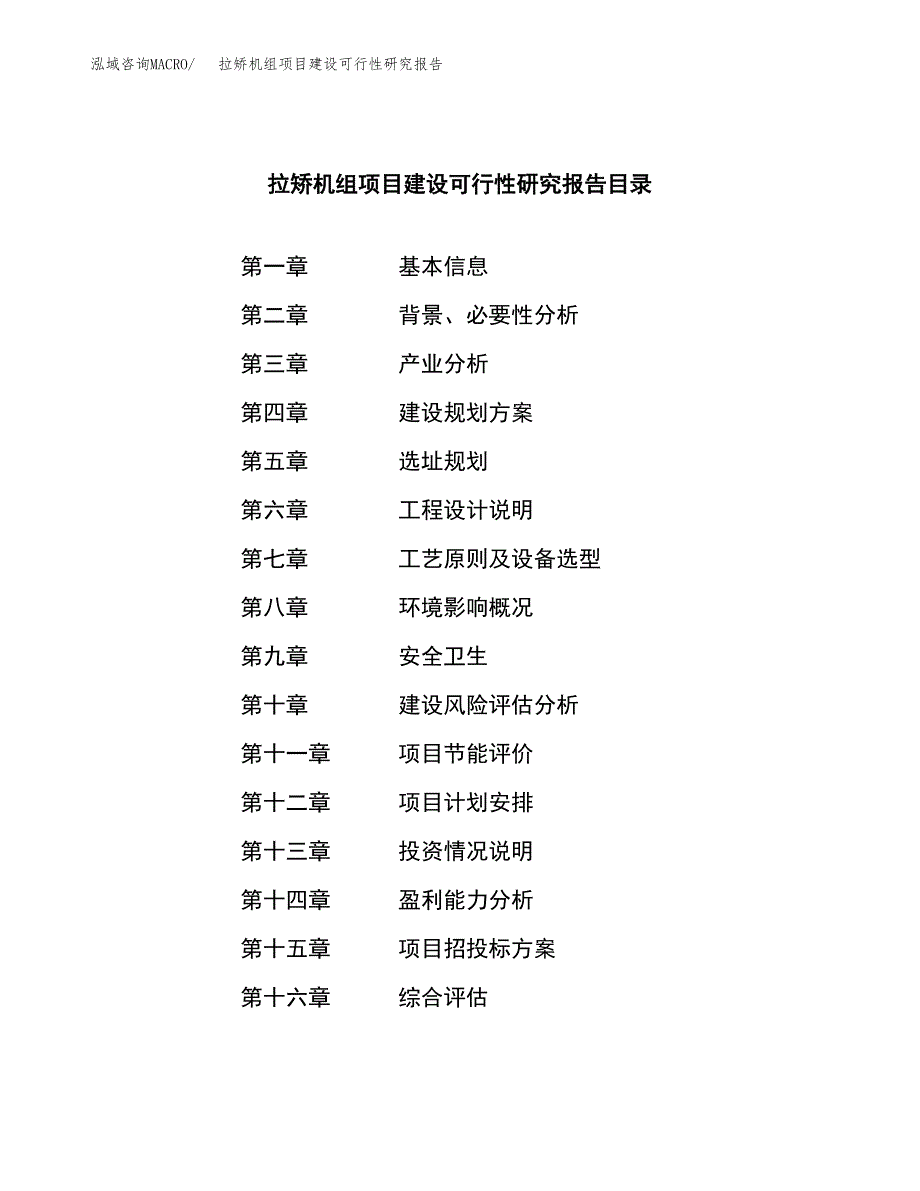 拉矫机组项目建设可行性研究报告.docx_第3页