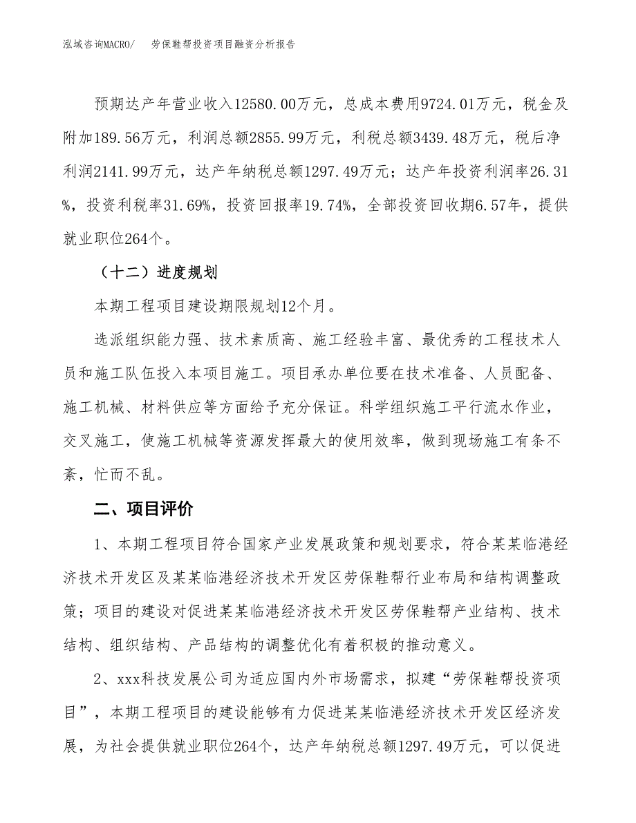 劳保鞋帮投资项目融资分析报告.docx_第3页