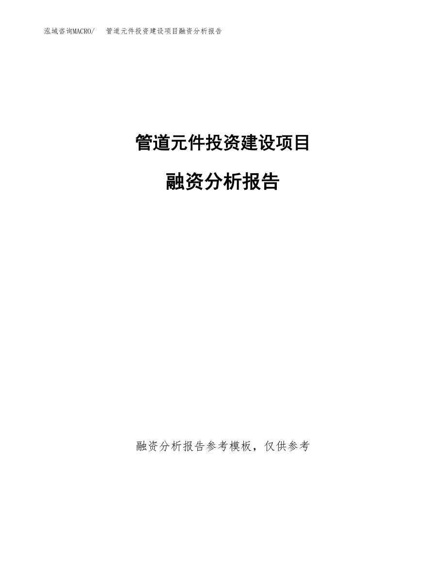 管道元件投资建设项目融资分析报告.docx_第1页