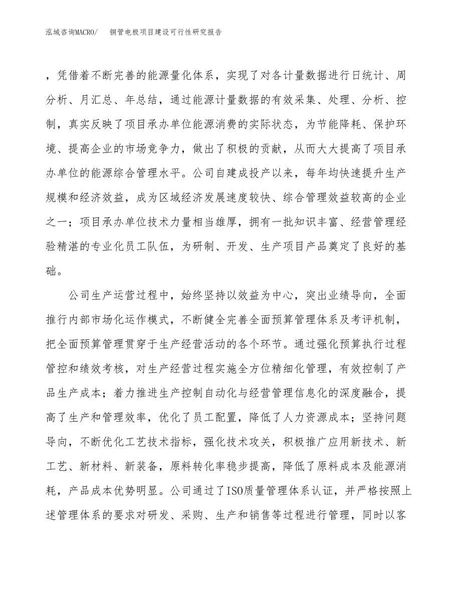 铜管电极项目建设可行性研究报告.docx_第5页