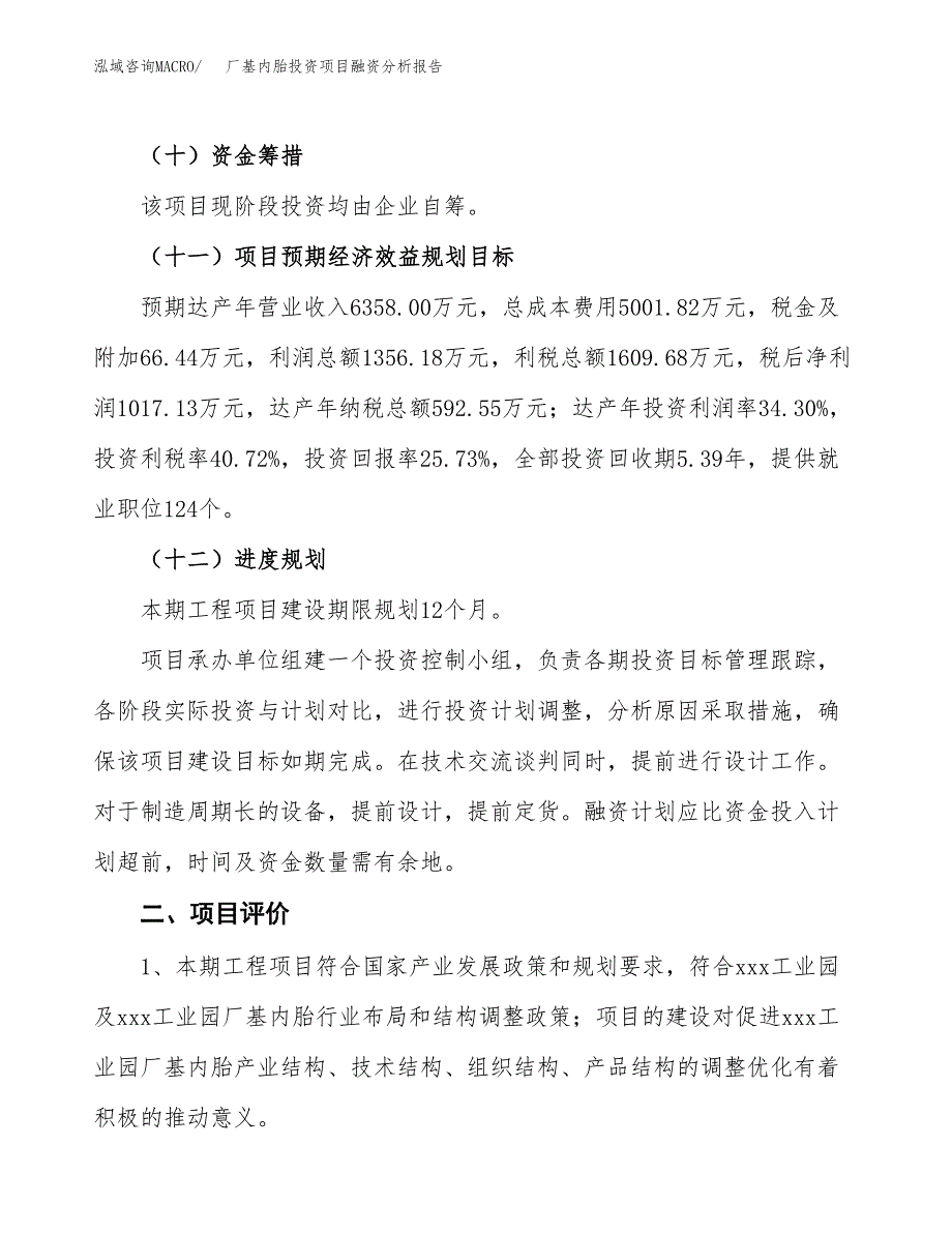 厂基内胎投资项目融资分析报告.docx_第3页