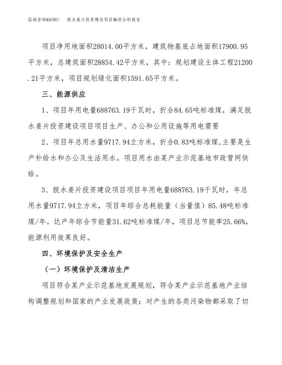 脱水姜片投资建设项目融资分析报告.docx_第5页