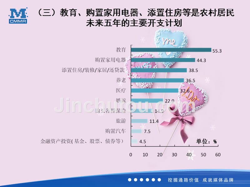 优势资源力拓蓝海年CCTV农业频道优势资源及蓝海_第5页