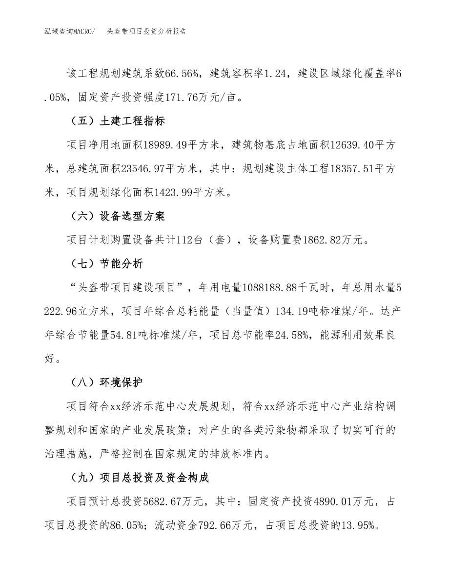 头盔带项目投资分析报告（总投资6000万元）（28亩）_第5页