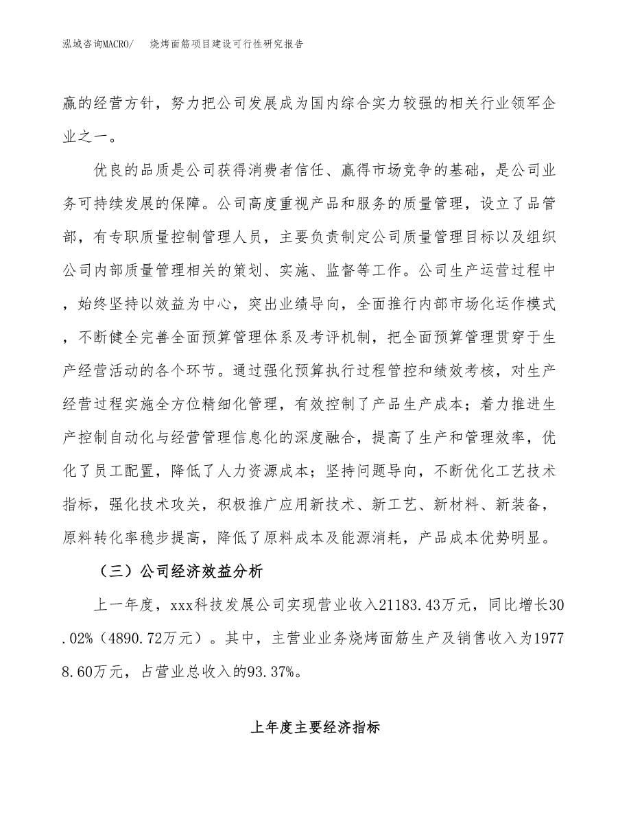 烧烤面筋项目建设可行性研究报告.docx_第5页