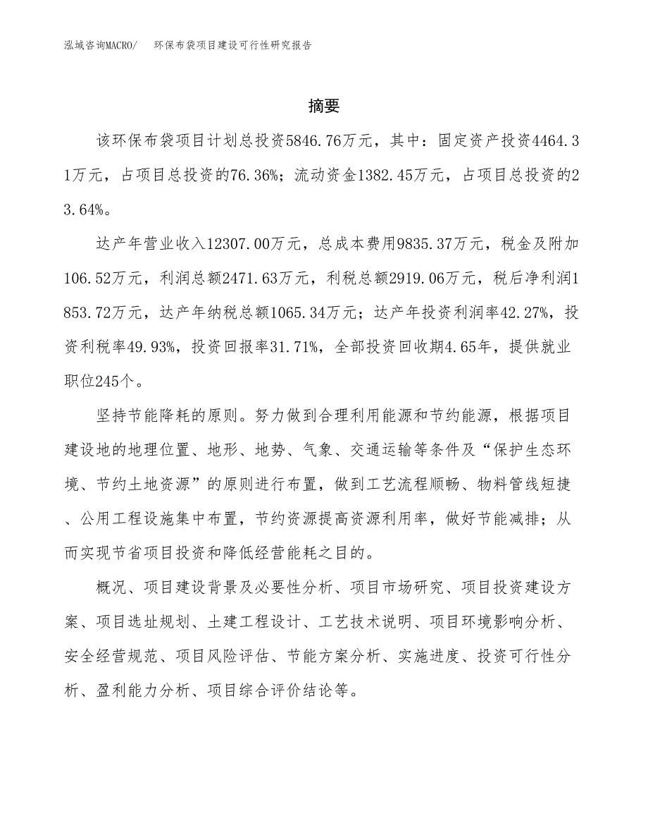 环保布袋项目建设可行性研究报告.docx_第2页