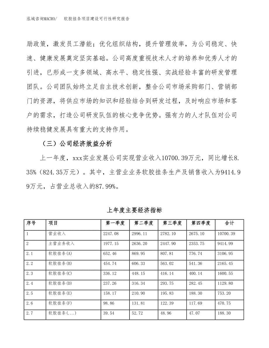 软胶挂条项目建设可行性研究报告.docx_第5页