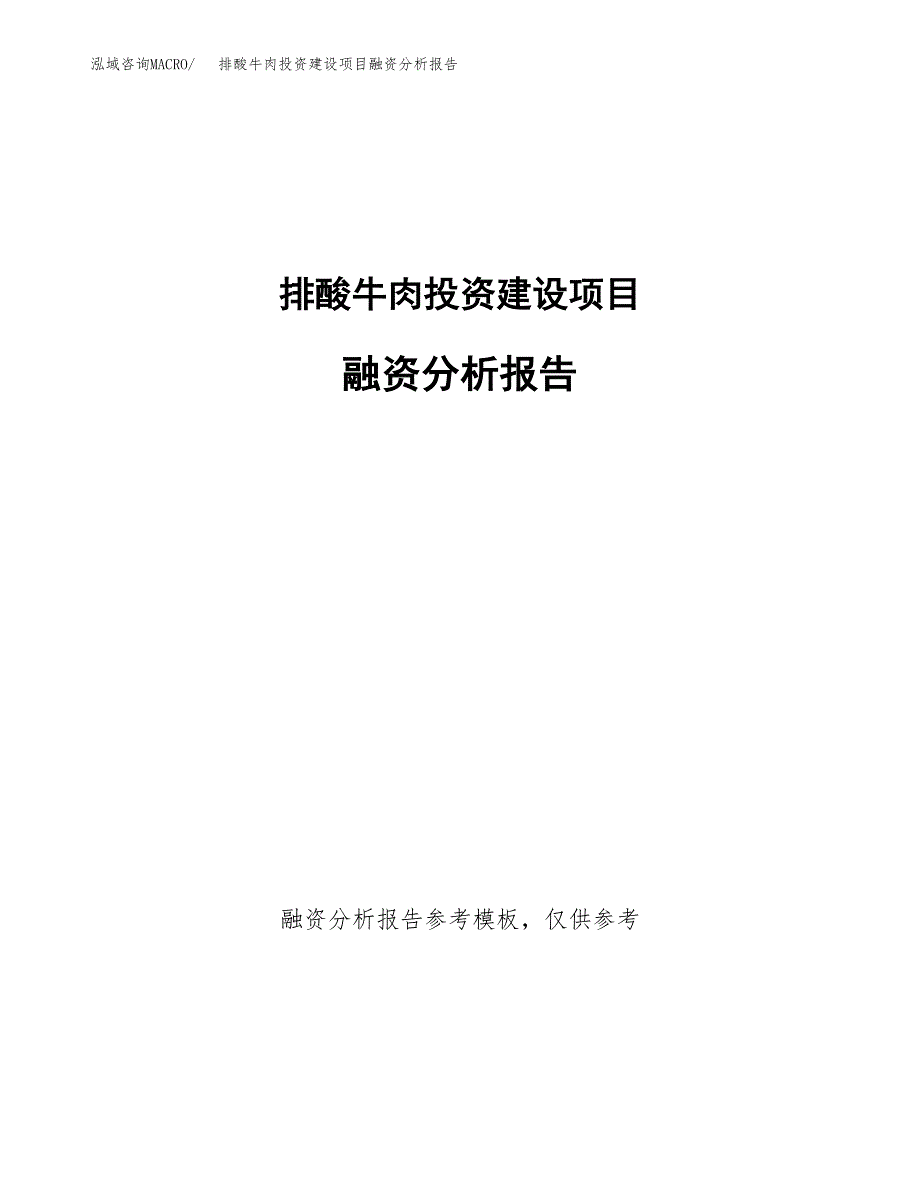 排酸牛肉投资建设项目融资分析报告.docx_第1页