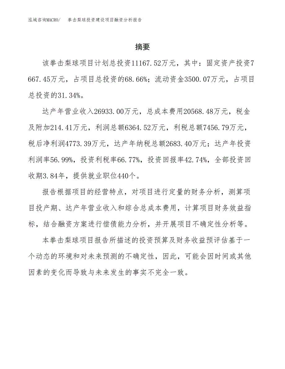 拳击梨球投资建设项目融资分析报告.docx_第2页