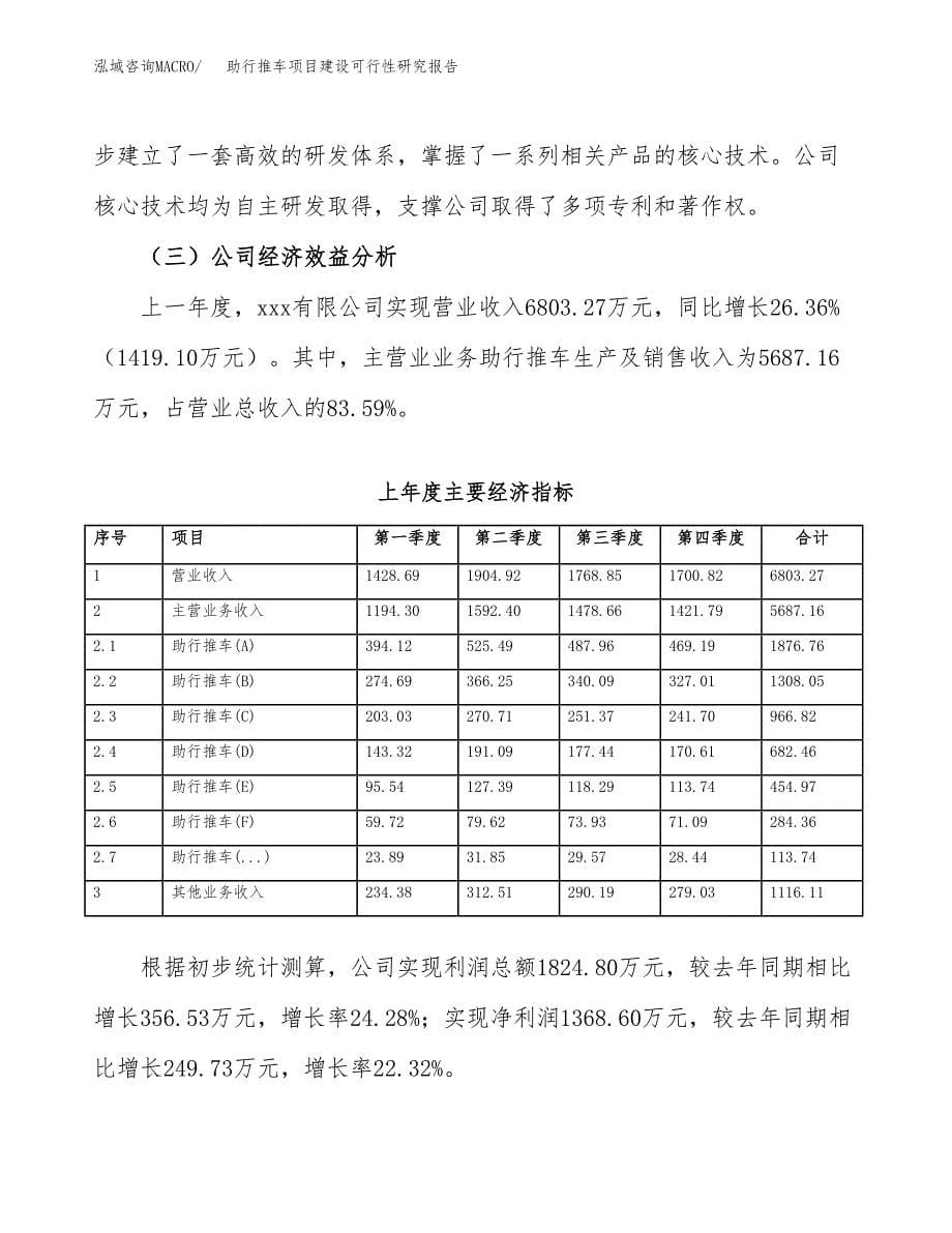 助行推车项目建设可行性研究报告.docx_第5页