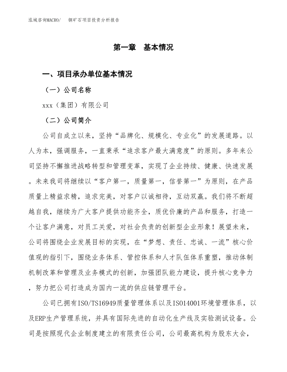 铜矿石项目投资分析报告（总投资14000万元）（49亩）_第2页