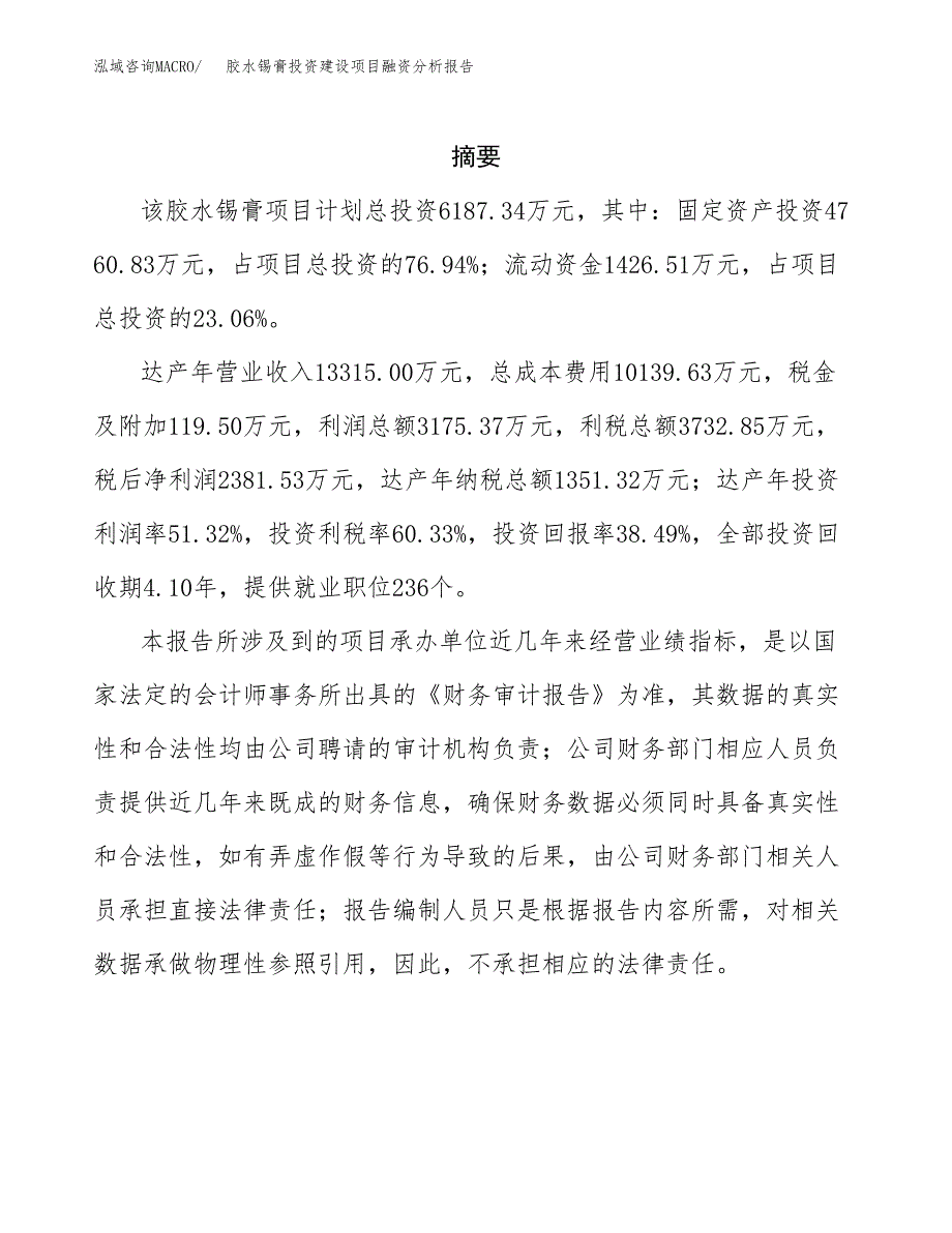 胶水锡膏投资建设项目融资分析报告.docx_第2页