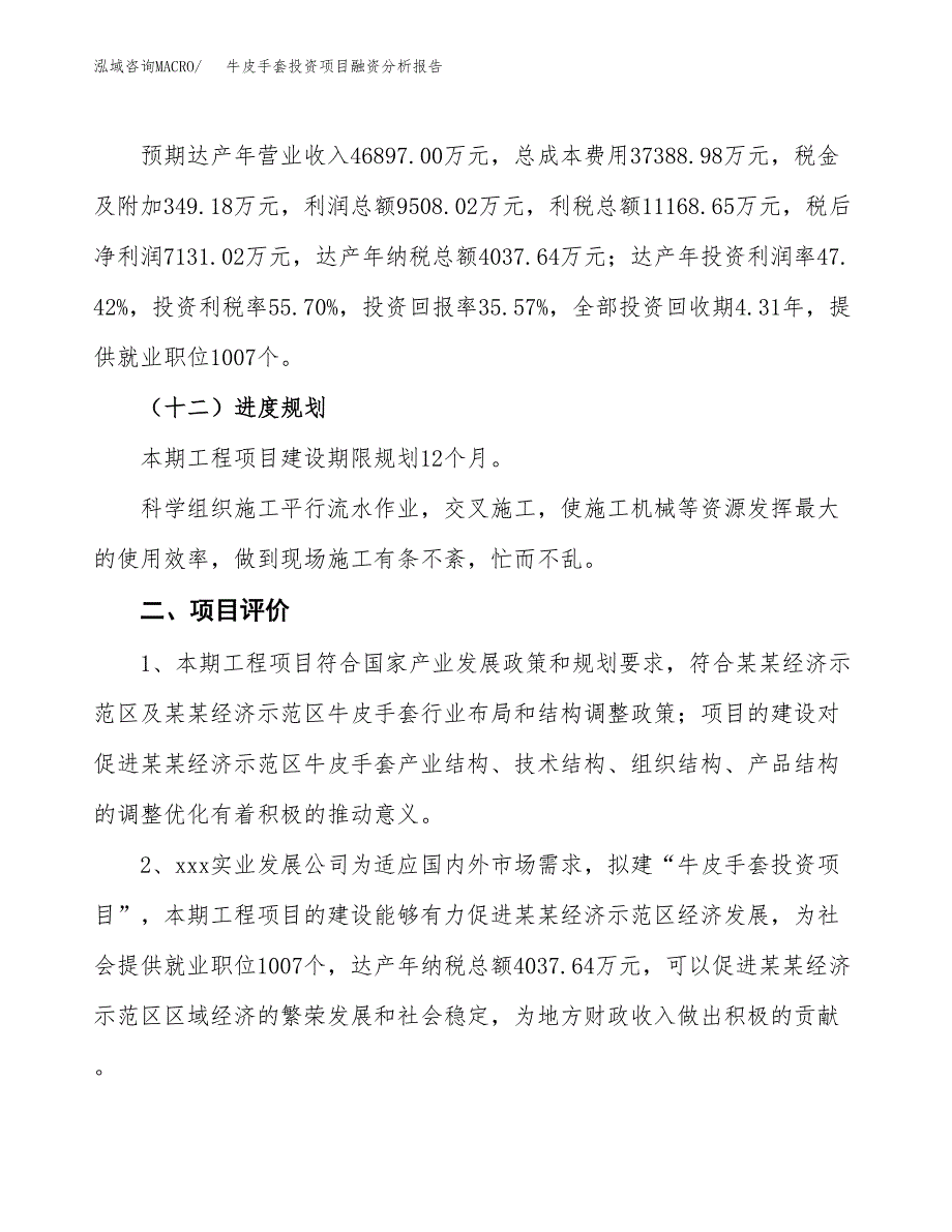 牛皮手套投资项目融资分析报告.docx_第3页