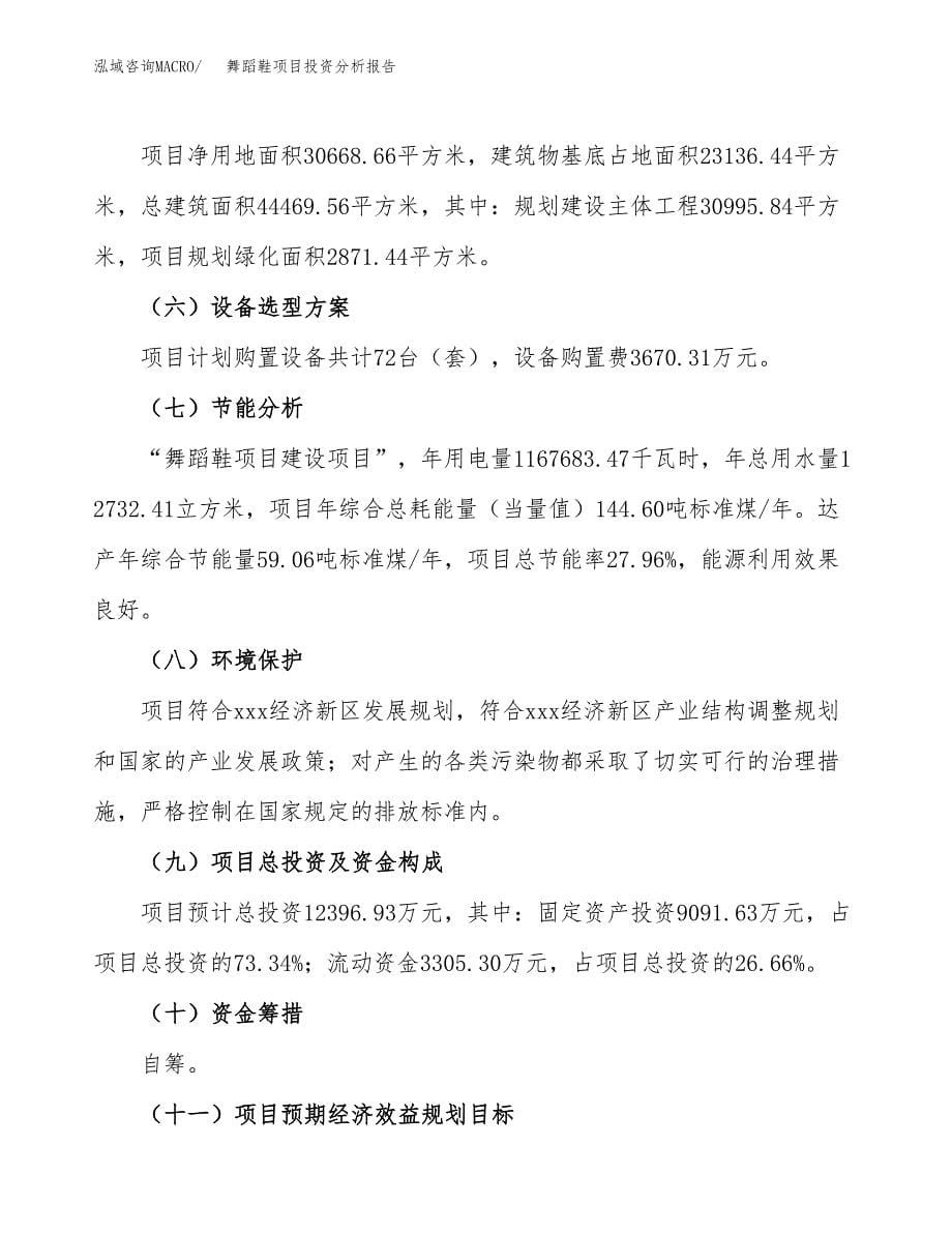 舞蹈鞋项目投资分析报告（总投资12000万元）（46亩）_第5页