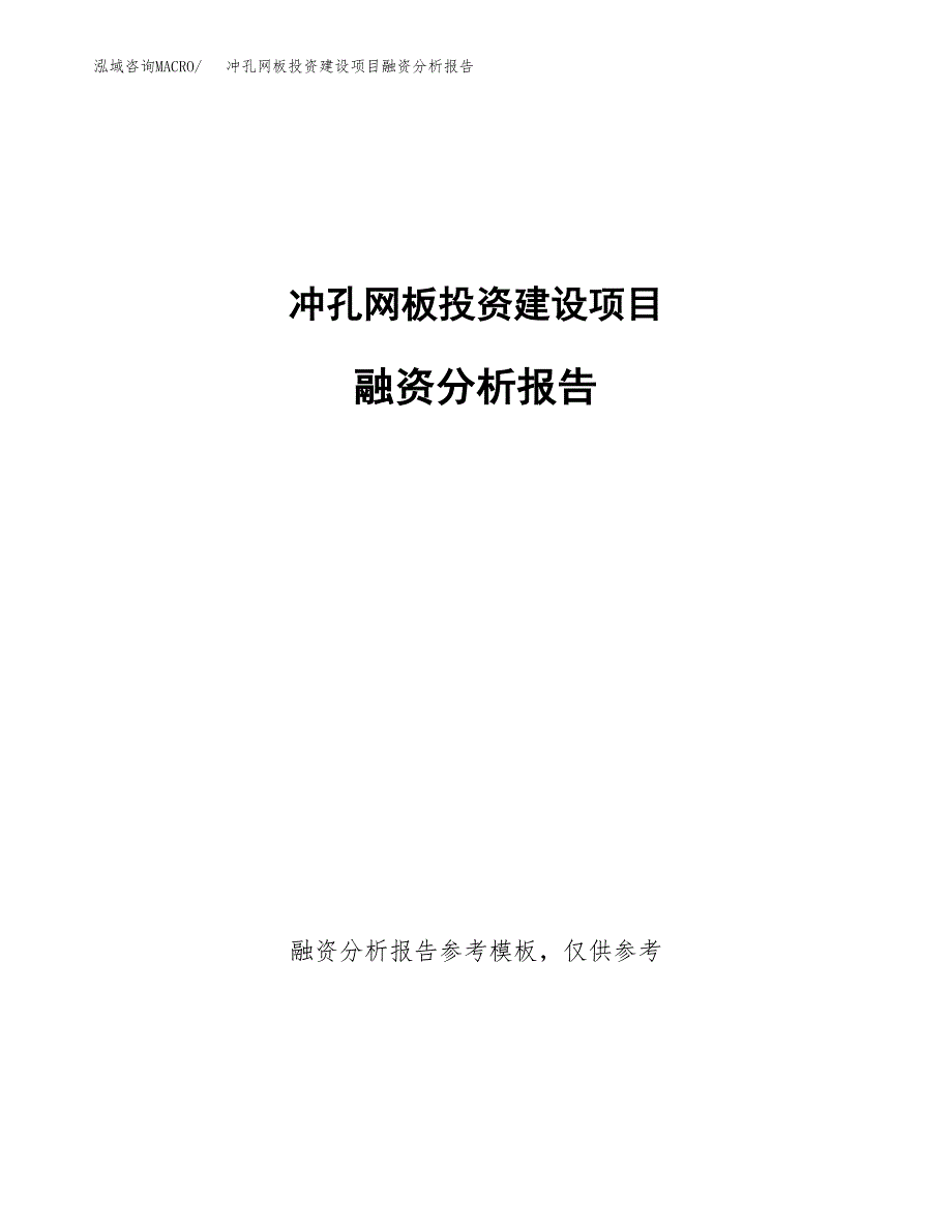 冲孔网板投资建设项目融资分析报告.docx_第1页