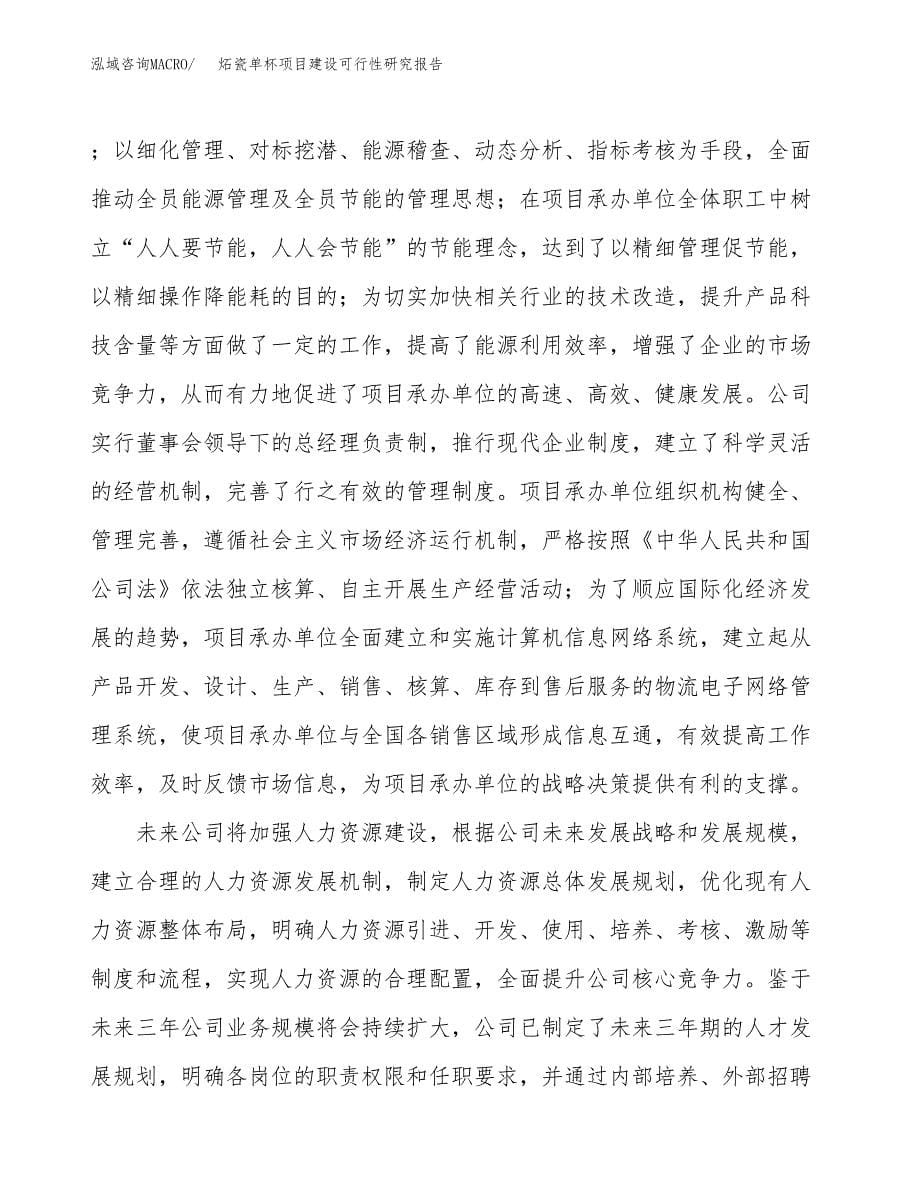 炻瓷单杯项目建设可行性研究报告.docx_第5页