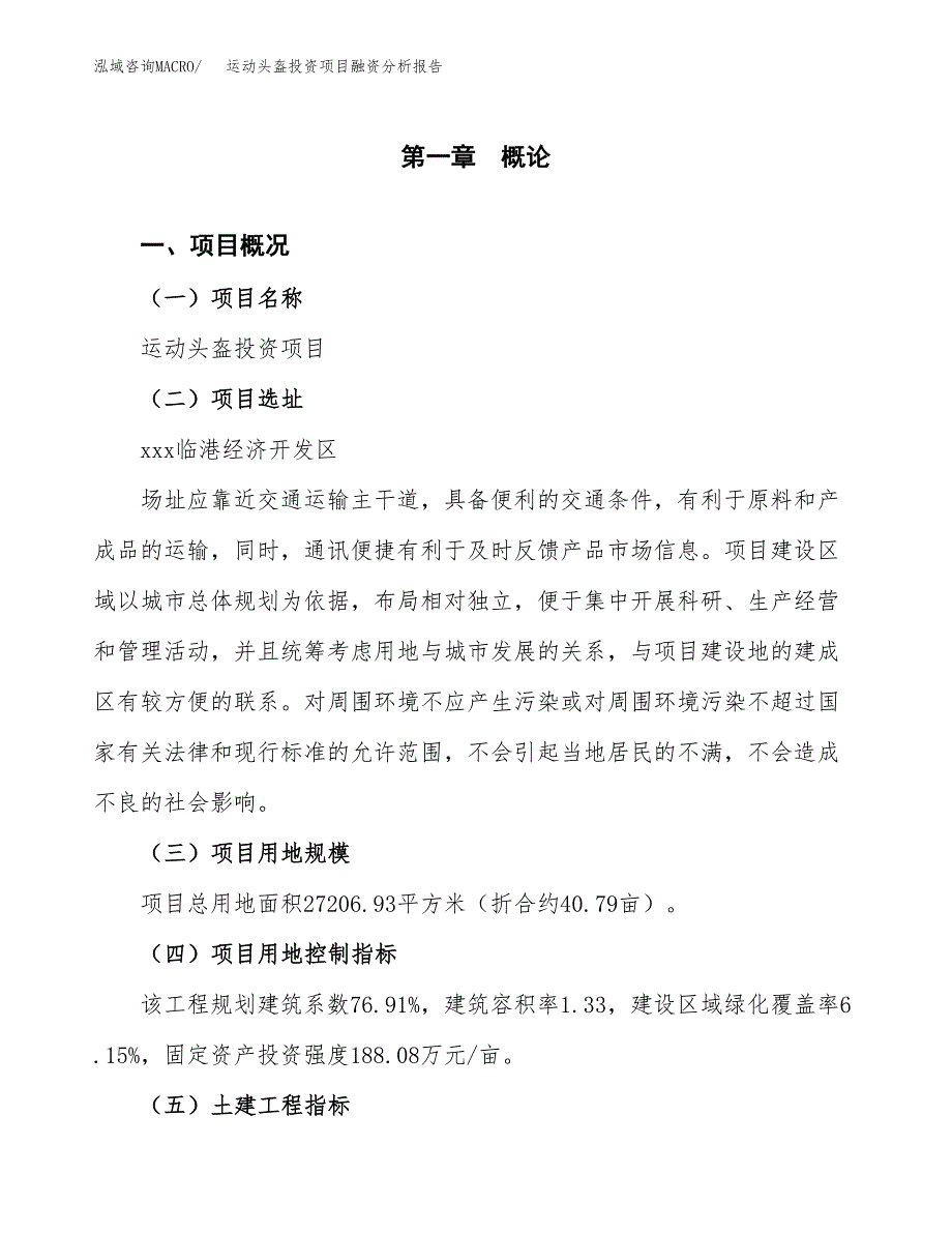 运动头盔投资项目融资分析报告.docx_第1页