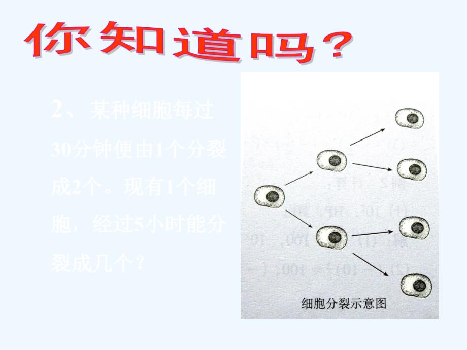 数学北师大版初一上册北师大七上第二章有理数的乘方.有理数的乘方_第3页