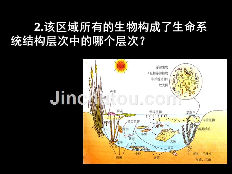 生物：43《群落的结构》课件(新人教版必修3)_第3页