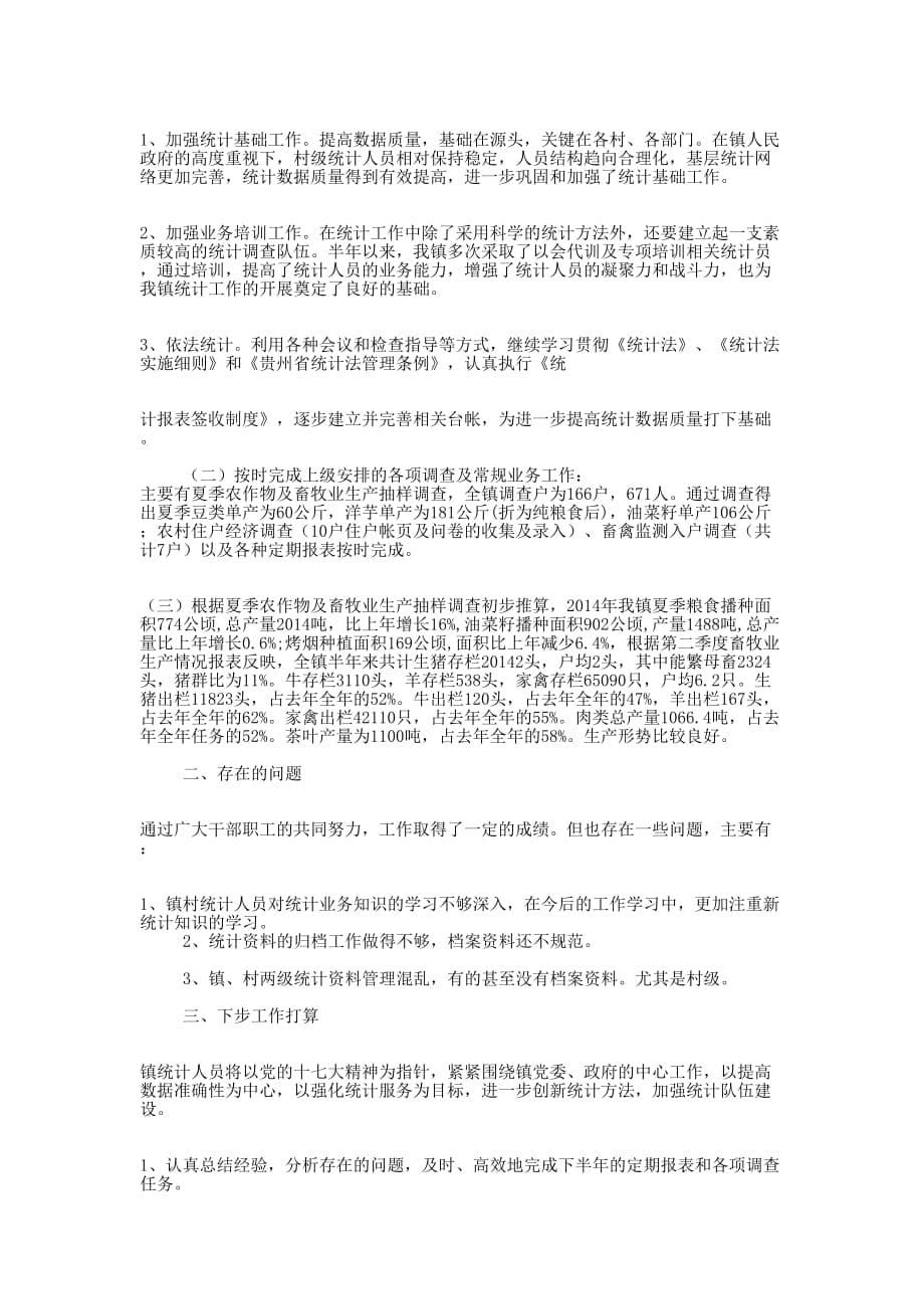 乡镇统计个人工作总结(精选多 篇).docx_第5页