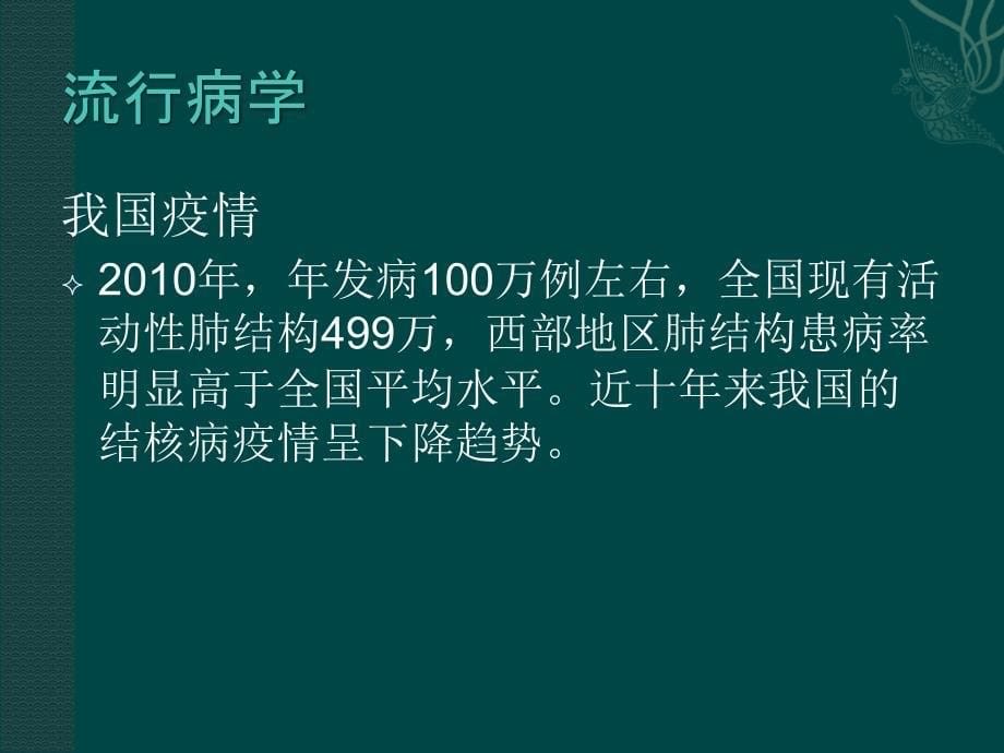 肺结核的影像诊断教材_第5页