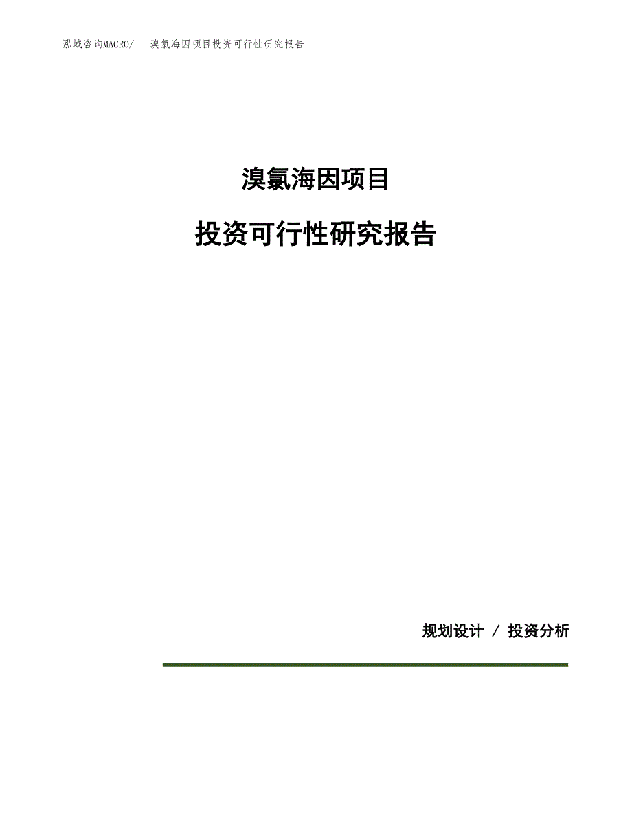 溴氯海因项目投资可行性研究报告.docx_第1页