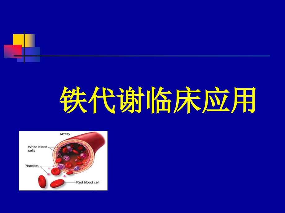 铁代谢临床应用20101130讲解_第1页