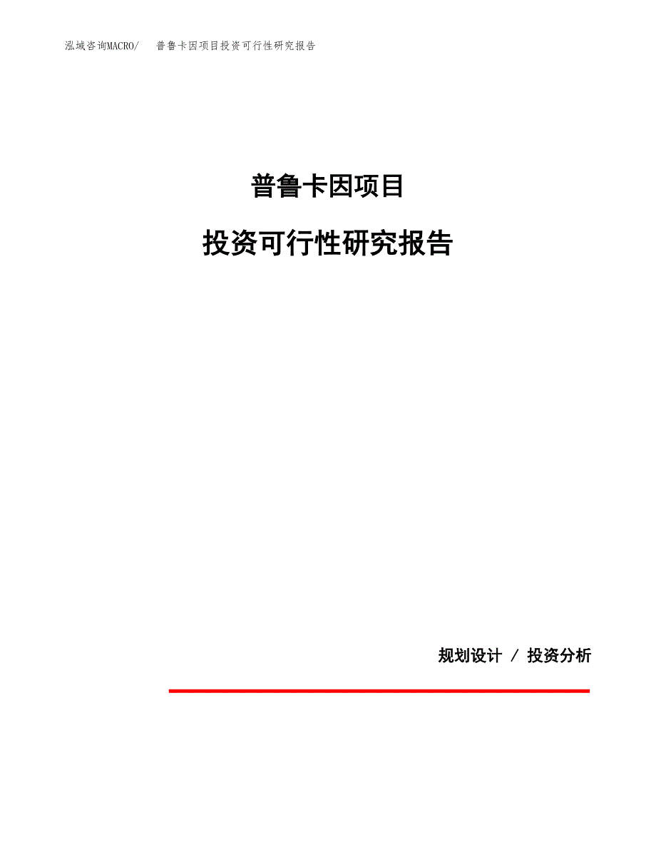 普鲁卡因项目投资可行性研究报告.docx_第1页