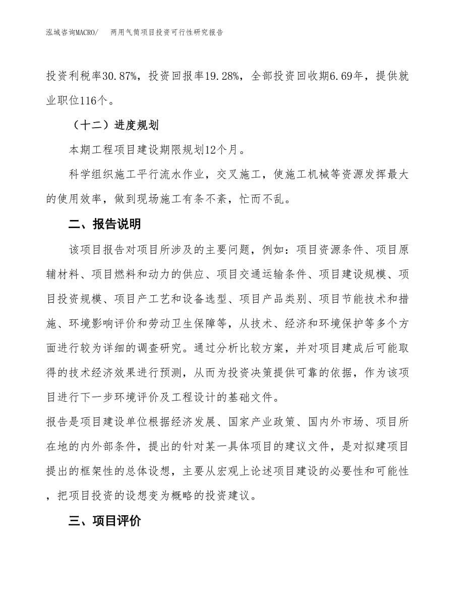 两用气筒项目投资可行性研究报告.docx_第5页