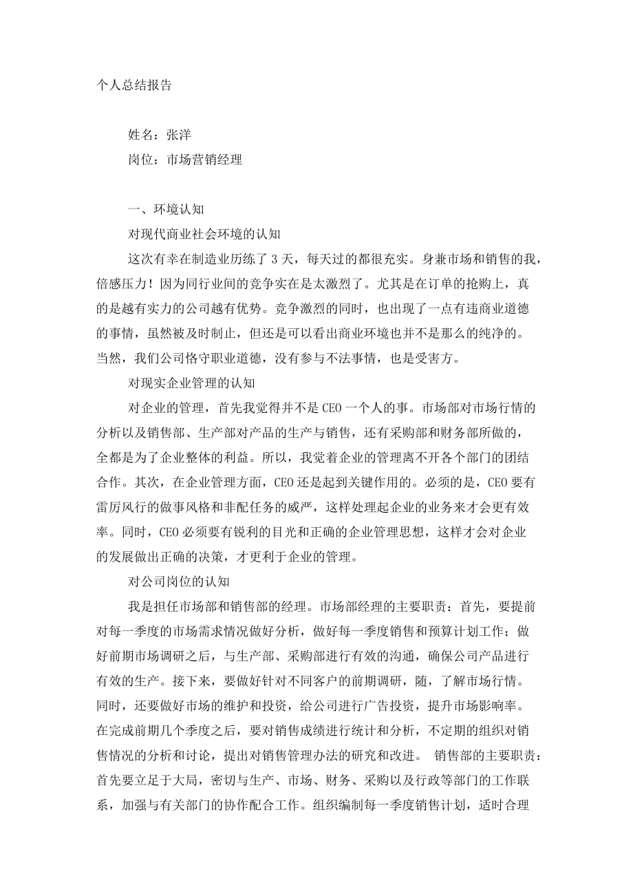 市场营销经理个人总结 报告.docx_第1页