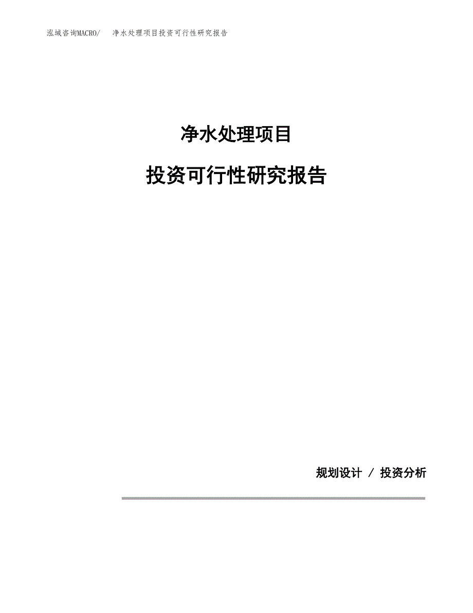 净水处理项目投资可行性研究报告.docx_第1页