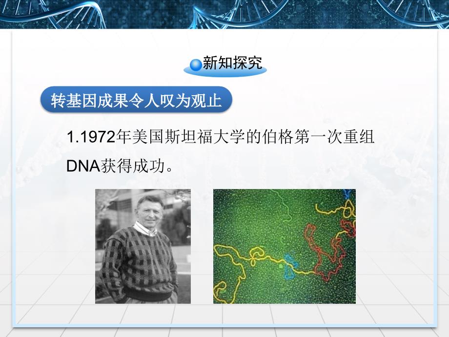 选修3专题四--生物技术的安全性和伦理问题_第4页