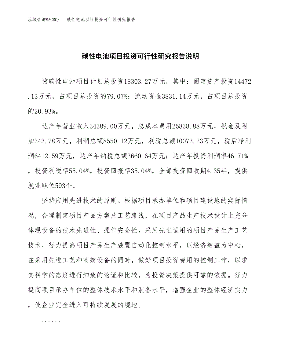 碳性电池项目投资可行性研究报告.docx_第2页