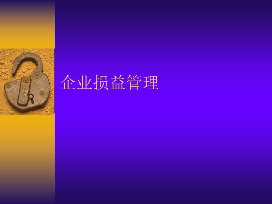 企业损益管理ppt_第1页