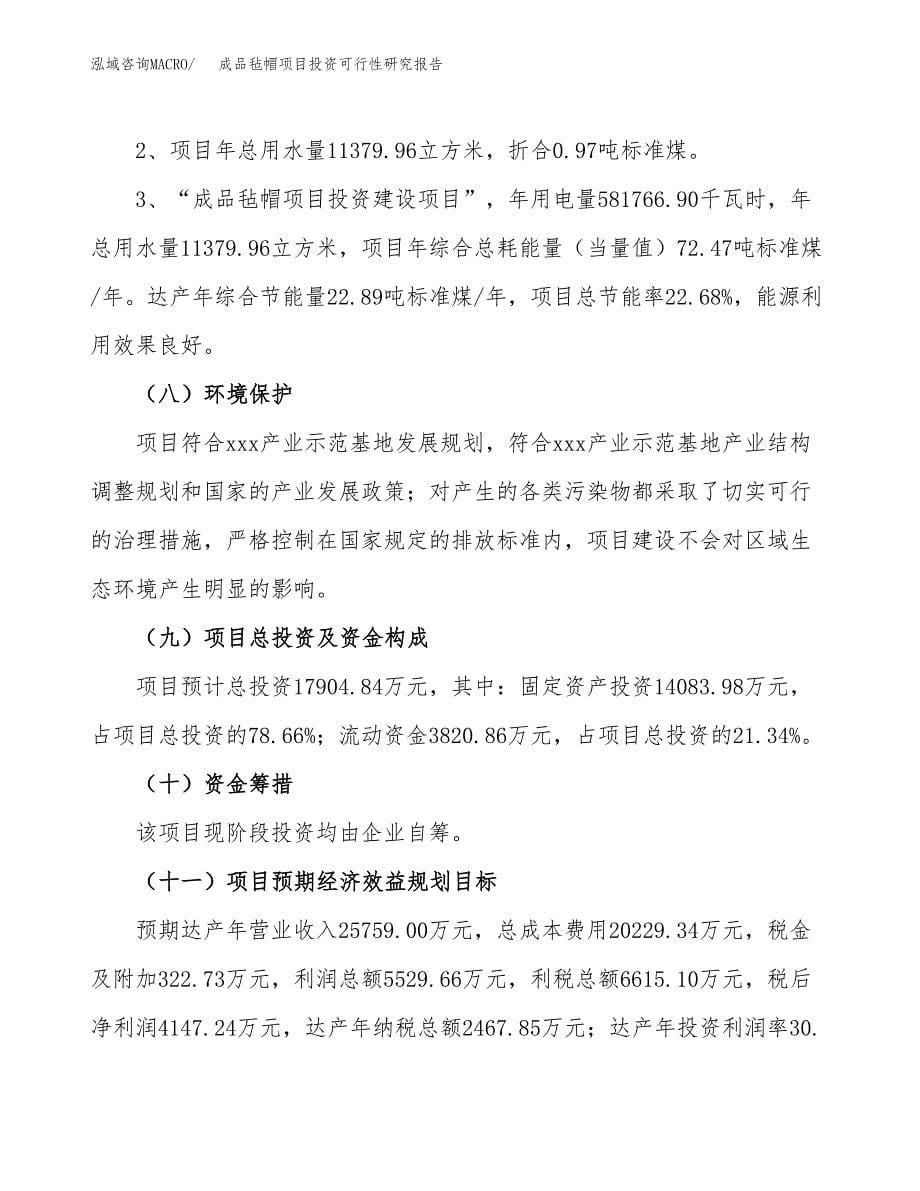 成品毡帽项目投资可行性研究报告.docx_第5页