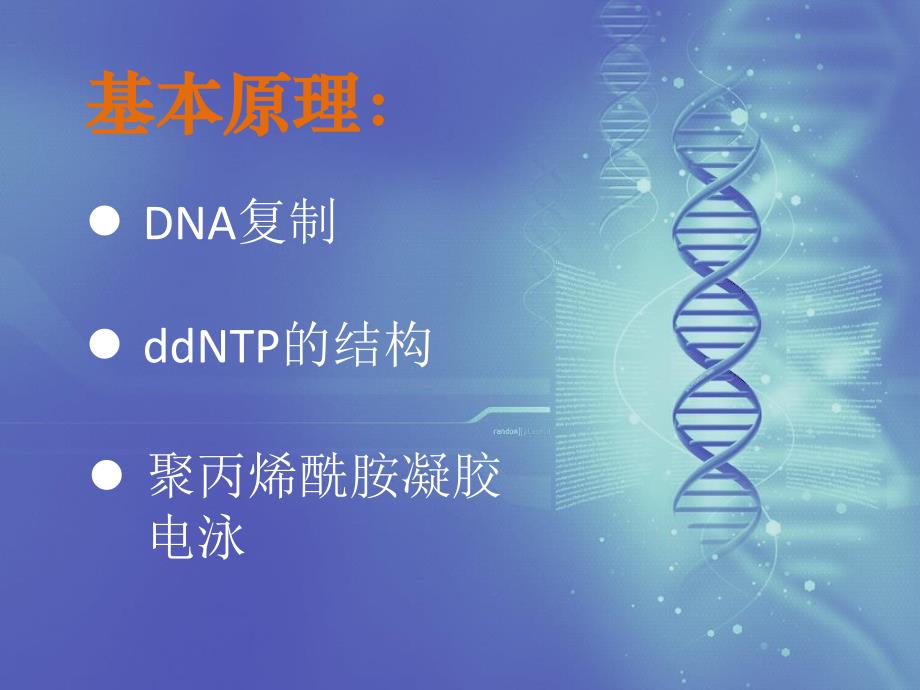 双脱氧链终止法测定DNA序列的原理与方法讲解_第4页