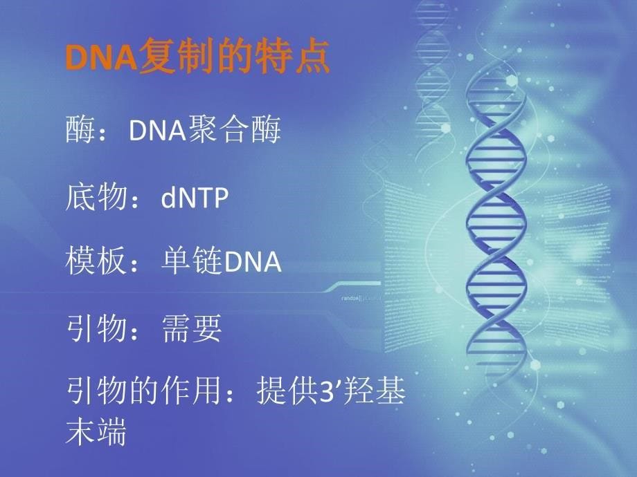 双脱氧链终止法测定DNA序列的原理与方法讲解_第5页
